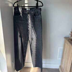 Agolde Low Slung Baggy Jeans